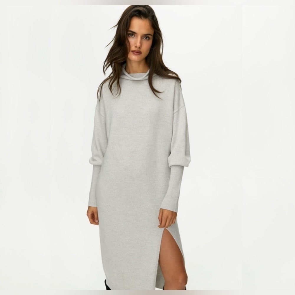 Aritzia Wilfred Cyprie Dress